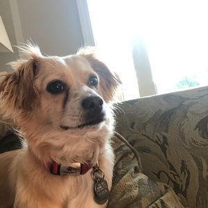 Meet your Posher, Shadi